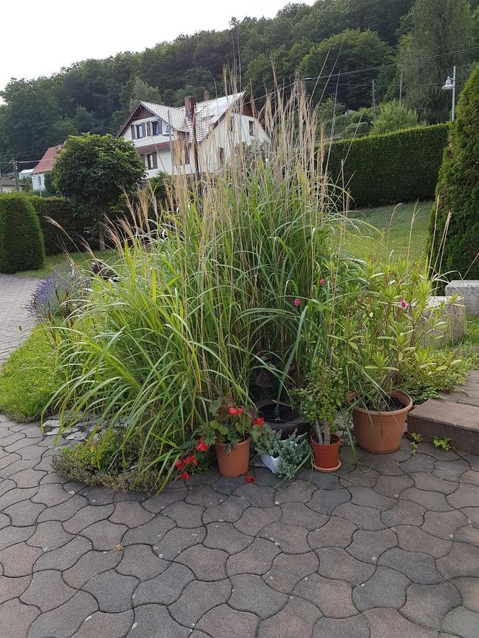 Ferienwohnung Am Rennsteig Bei Eisenach - Ilona Schmidt Wolfsburg-Unkeroda Экстерьер фото